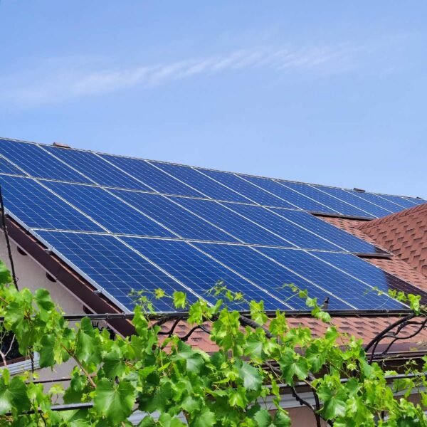 472505188_1123316182711997_3198305934662886338_n