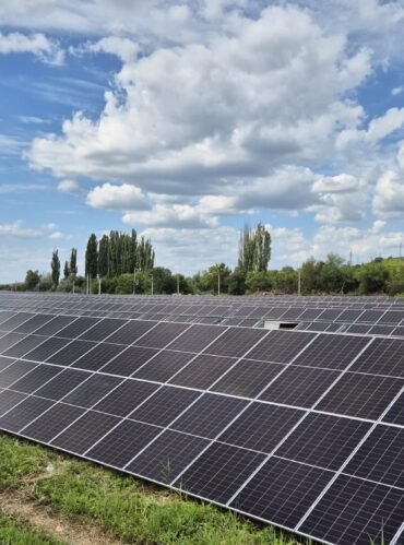 WhatsApp Image 2025-12-13 at 11.01.52